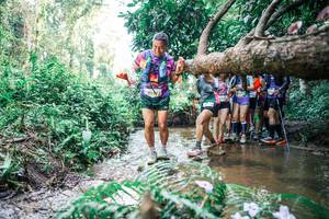 BIB: 
                            <button type="button" onclick="openModal(25470754)" class="btn btn-primary btn-sm float-right btn-popup" data-toggle="modal" data-target=".modal-high-quality">
                        <i class="fas fa-shopping-cart"></i> Add to Cart
                    </button>
                                            <button type="button" onclick="isThisMe(25470754, true)" class="btn btn-success btn-sm float-right btn-popup btn-isme hidden" data-toggle="tooltip" data-placement="bottom" title="นี่คือรูปของคุณใช่ไหม คลิกที่นี่เพื่อเอาเข้าอัลบั้ม">
                        <i class="fas fa-plus"></i> Add to album
                    </button>
                    <button type="button" onclick="isThisMe(25470754, false)" class="btn btn-warning btn-sm float-right btn-popup btn-isnotme hidden">
                        <i class="fas fa-ban"></i> Remove from album
                    </button>